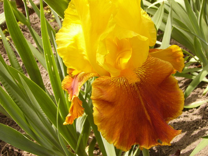 P1240011