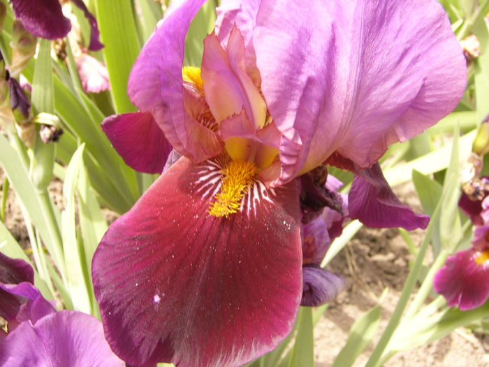 P1240016