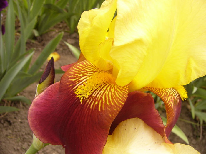 P1240020