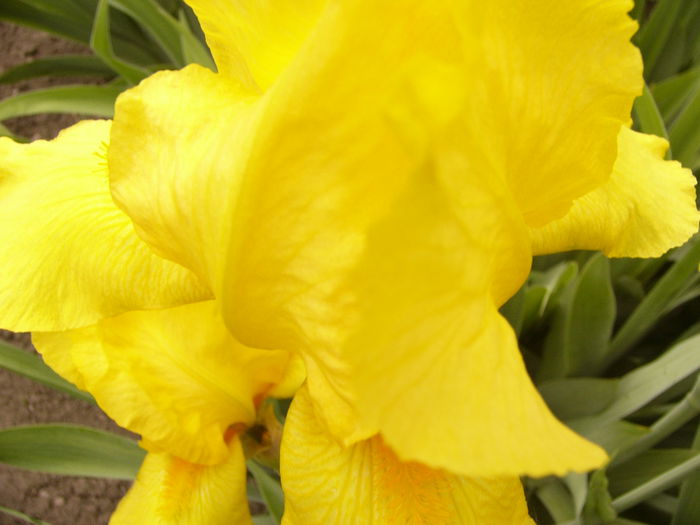 P1240022