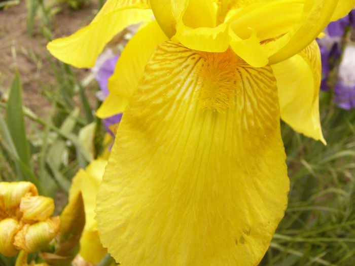 P1240023