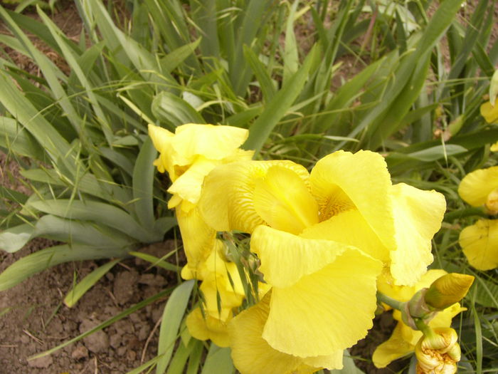P1240024