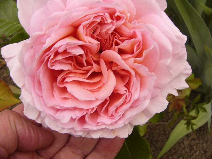 P1240026