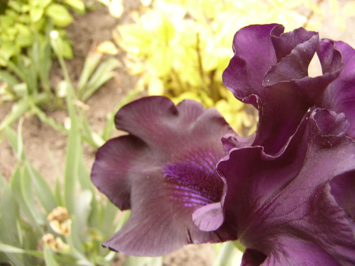 P1240029
