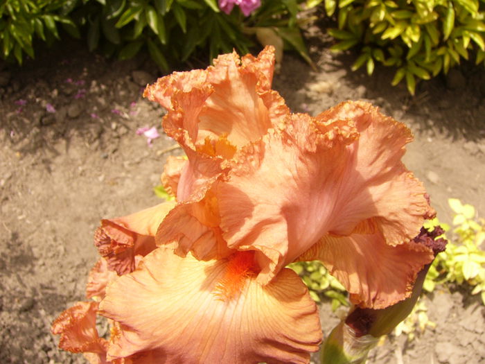 P1240031