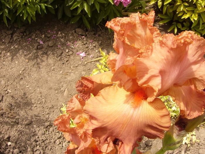 P1240032