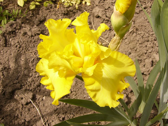 P1240033