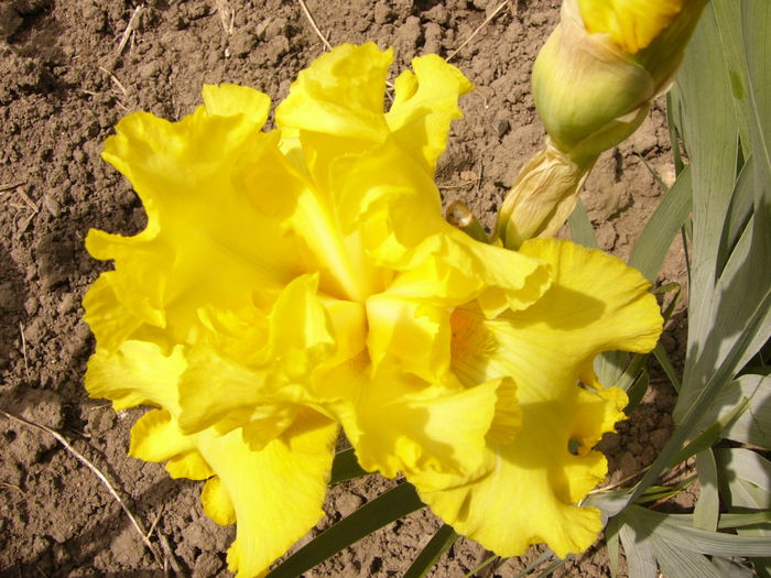 P1240034