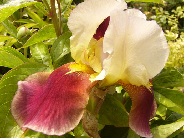 P1240037