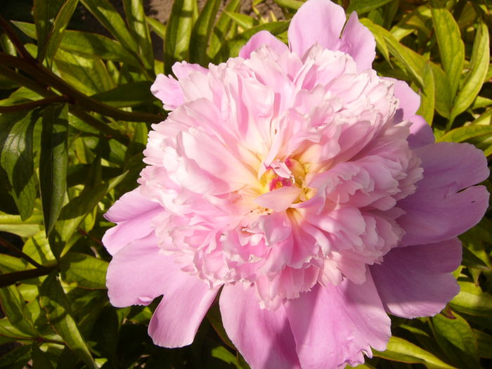 P1240040