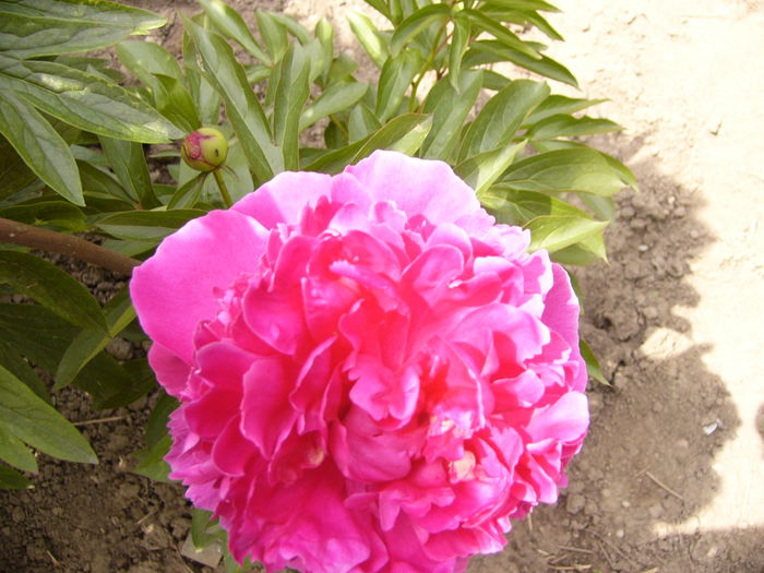 P1240041