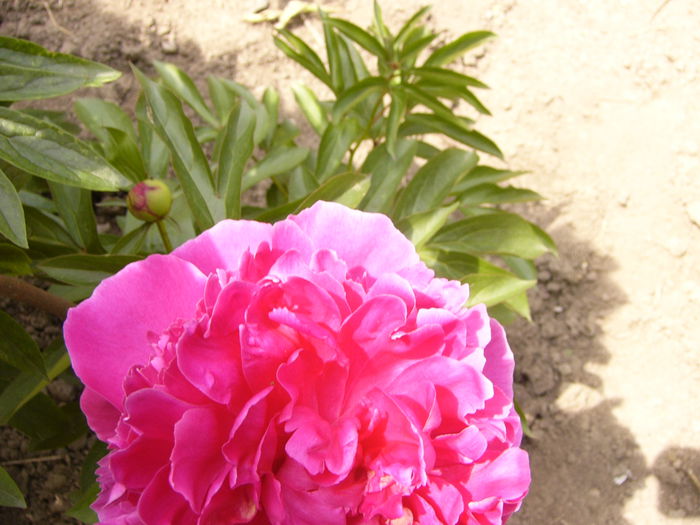 P1240043