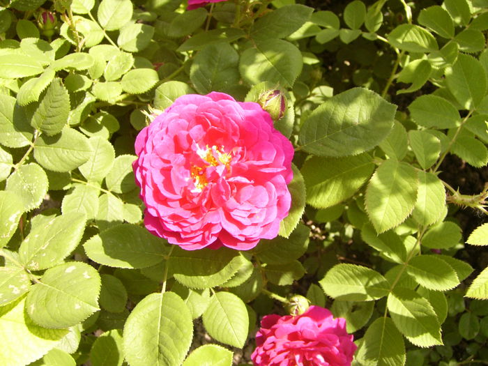 P1240047