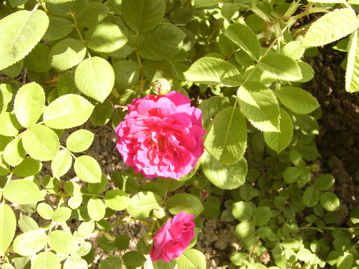 P1240048