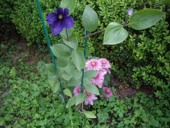 IMGP7970