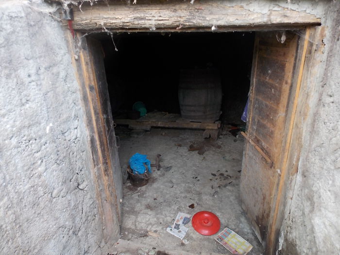 intrarea in pivnita sub bucataria de vara - POZE CU CASA DE LA TURDAS 2015