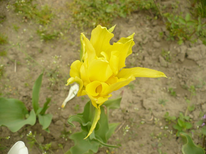 P1110989