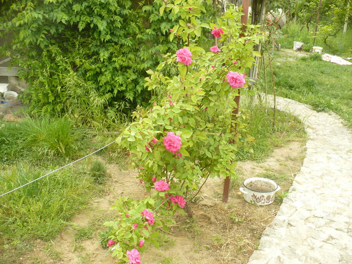 P1120108