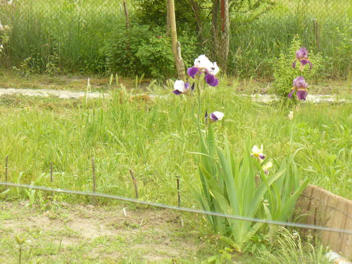 P1120113