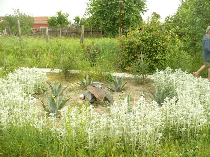 P1120116