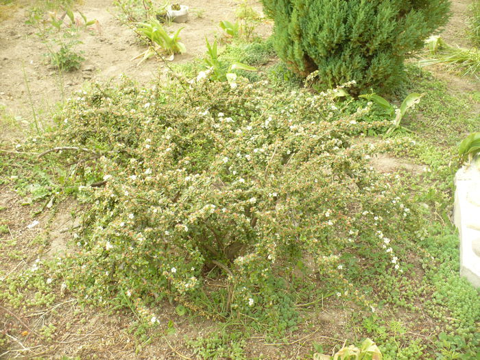P1120125