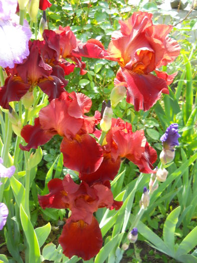 DSCN6717