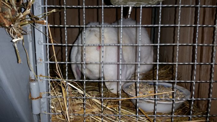 f3 si f6 sunt montate cu el