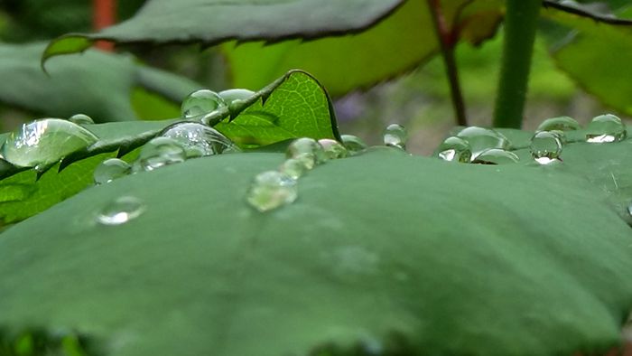 DSC00565