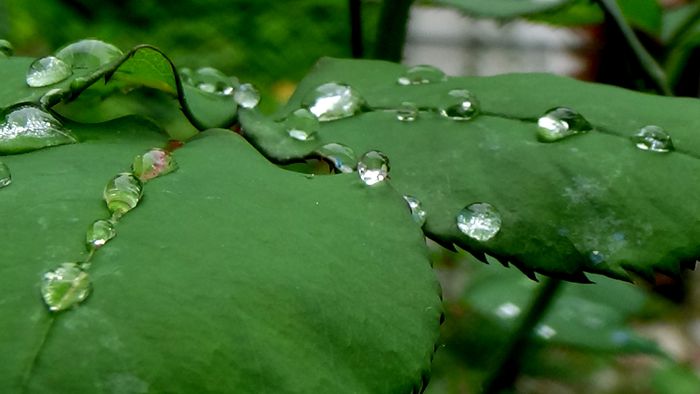 DSC00567