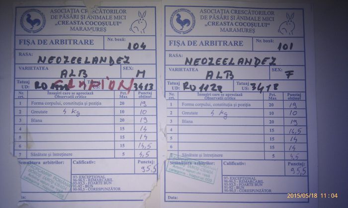 poze HTC 2015-03-14 105 - 003 NEOZEELANDEZ - DE VANZARE