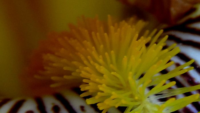DSC00641