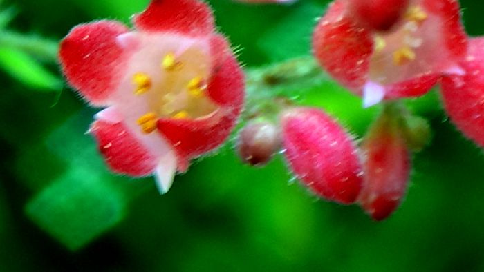 DSC00601