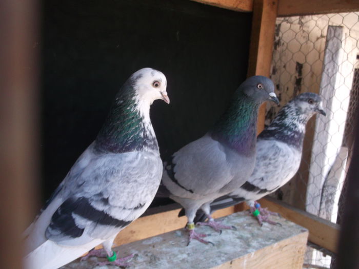 Etapa a 2.  17-05-2015.  16h 53 min