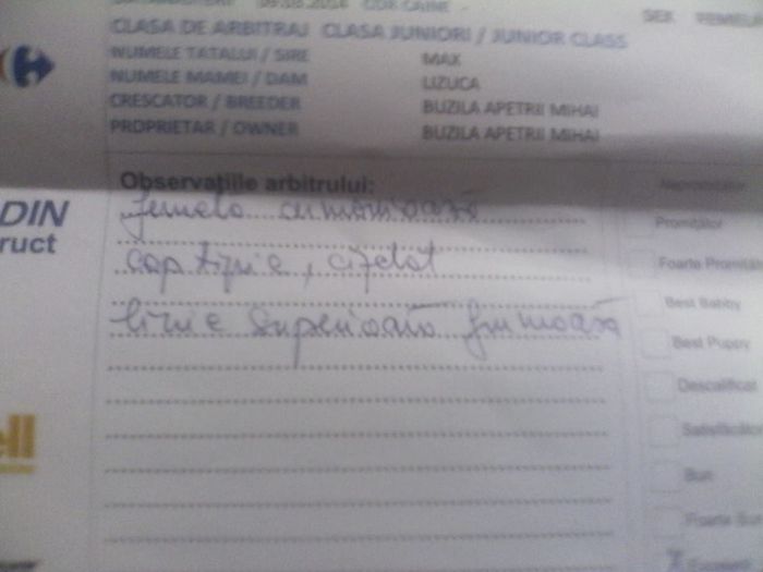 11104072_446350612200025_2025641823_n