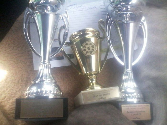 11215943_446315522203534_1934369863_n