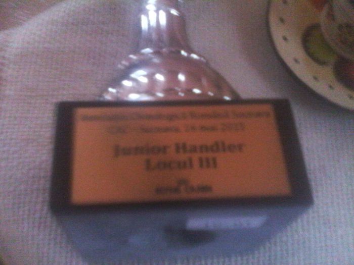 11272080_446350635533356_110572861_n