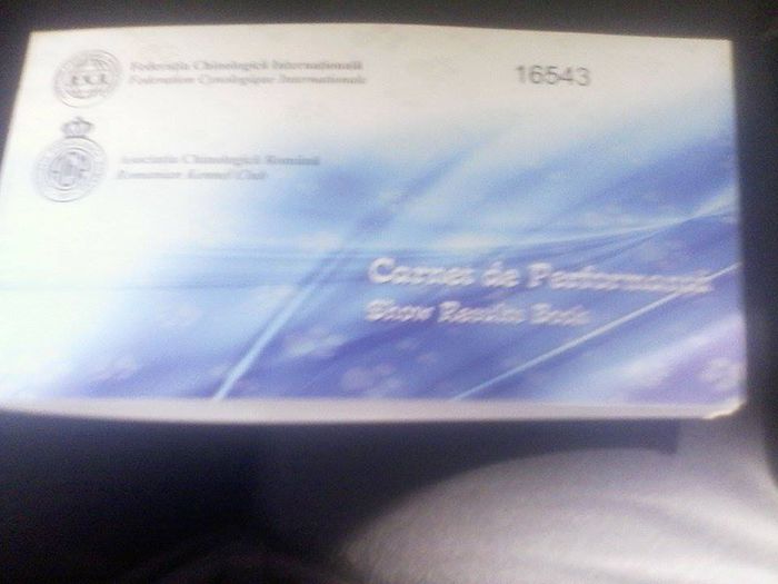 11291886_446315482203538_732219488_n