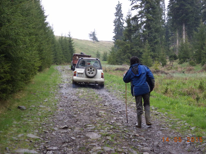 Masinile lui Dusa Ilie - Urcatul la stana cu vacile in Dealul Alb-2015