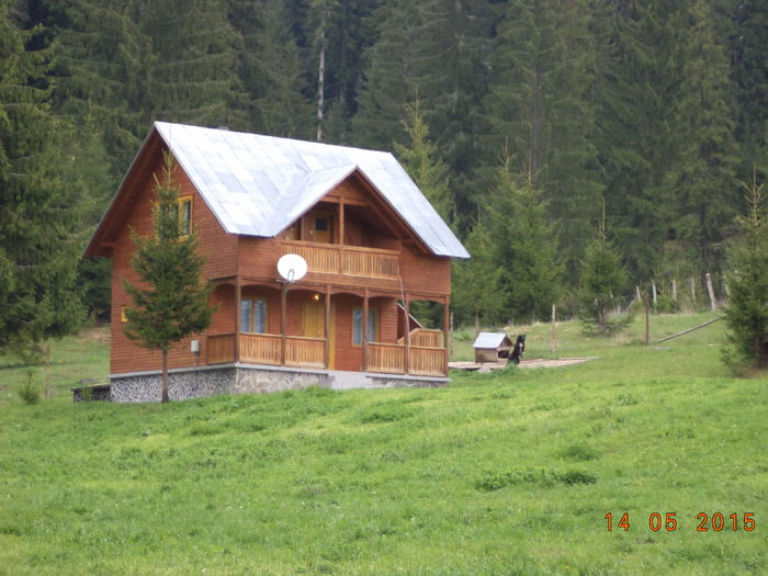 O cabana frumoasa - Urcatul la stana cu vacile in Dealul Alb-2015