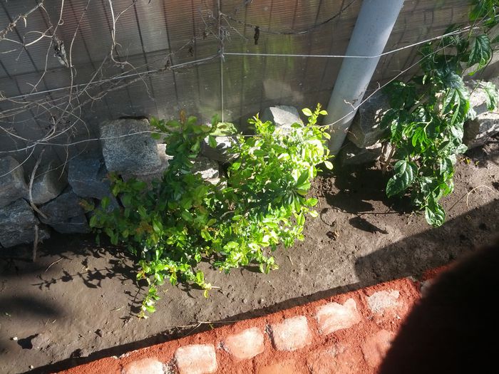 14320146753701483608024