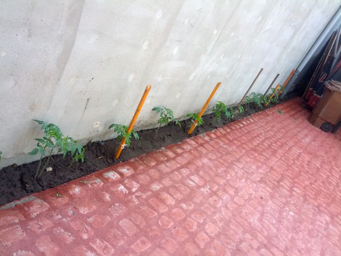 14320149763901321561293