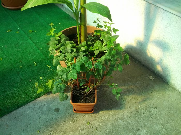 14320151198301321561293