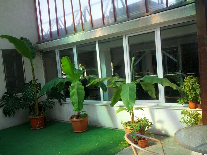 1432015198041-531072797