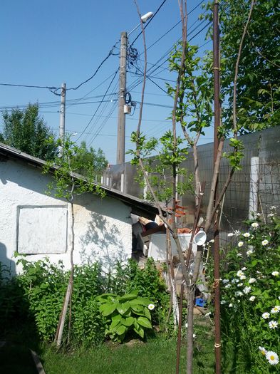 1432018830066360198353