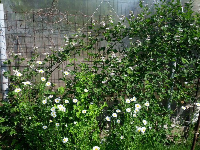 1432019214461-1670451818