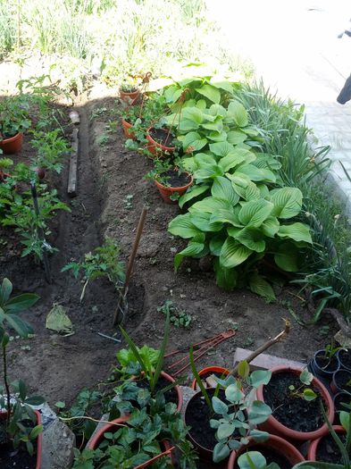 1432019264610-1233859233