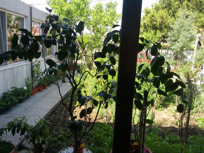 1432019332350691902309