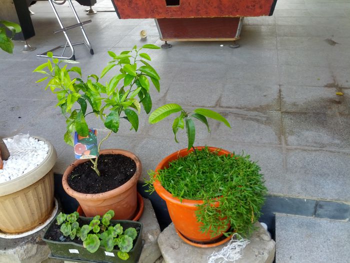 14320193606452132506316