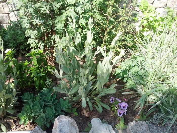 14320196764731753613444