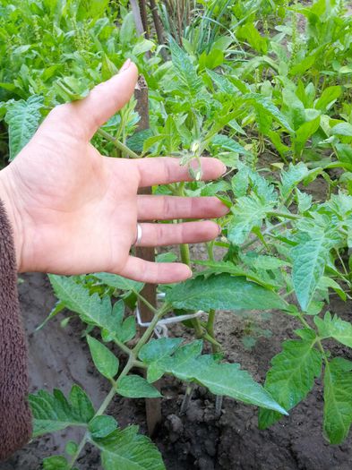 14320202578522117519392